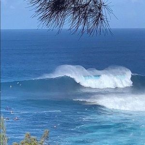 Meet your Posher, Charlotte